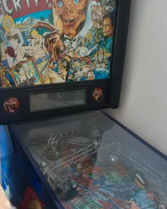 Flipper Stern e sta est