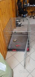 Kennel per cane