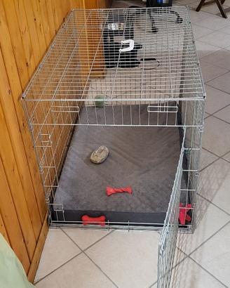 Kennel per cane