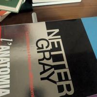 netter e Gray cofanetto Antonia 