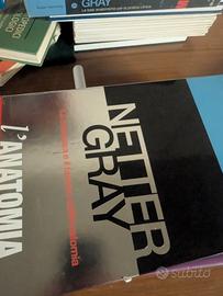 netter e Gray cofanetto Antonia 