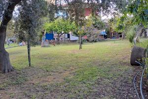 Grazioso appartamento immerso nel verde a Cardedu