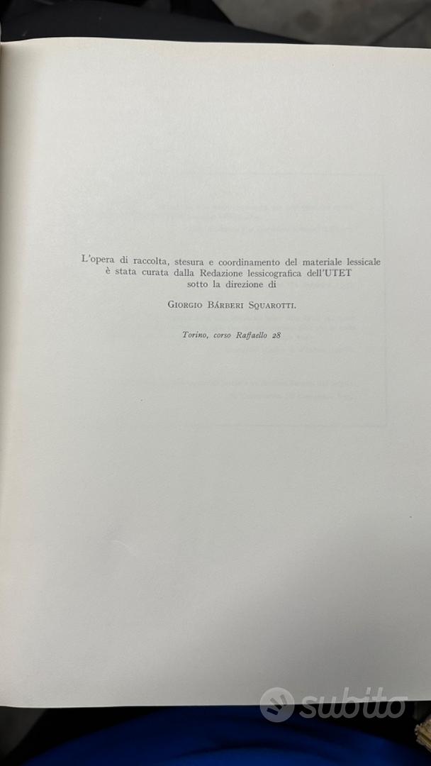 Nuovo dizionario italiano piccolo raffaello - Libri e Riviste In vendita  a Torino