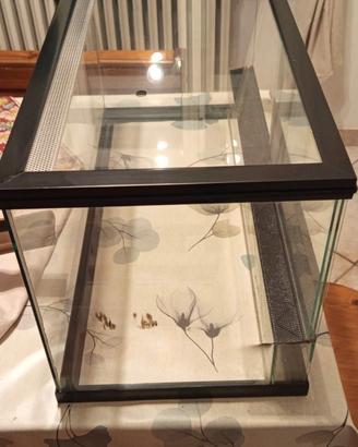 teca o terrario  rettili roditori