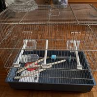 Gabbia per piccoli uccelli