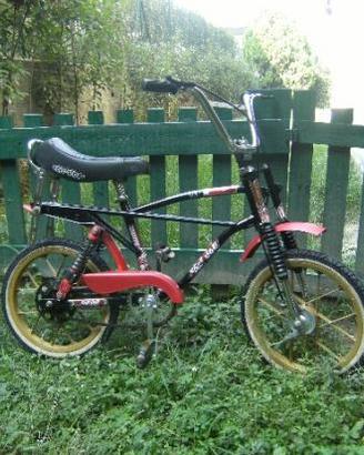 Bicicletta Speed Cross