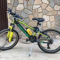 Bicicletta bambini Torpado