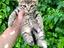 Immagine 1