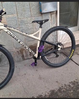 mtb enduro dartmoor