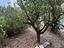 Immagine 17