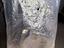 Immagine 5