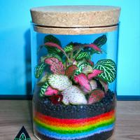 terrarium 