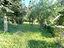 Immagine 21