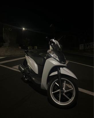sh300 sport