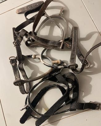 Tre paia di Speroni usati