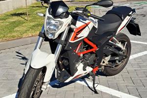 Benelli BN 251