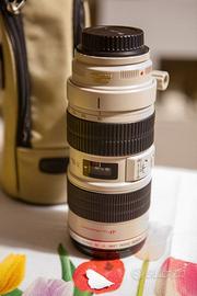 Canon EF 70-200mm f/2.8 L IS USM