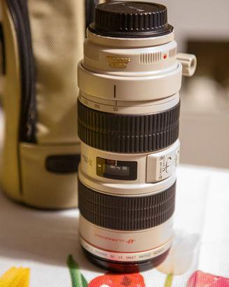 Canon EF 70-200mm f/2.8 L IS USM