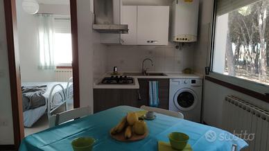 Pinarella fronte pineta GIUGNO