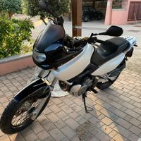Suzuki XF 650 Freewind