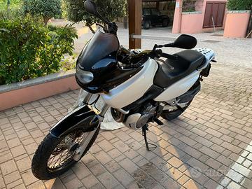 Suzuki XF650 Freewind