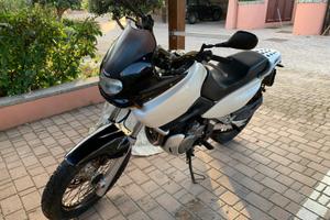 Suzuki XF650 Freewind