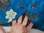 Immagine 5