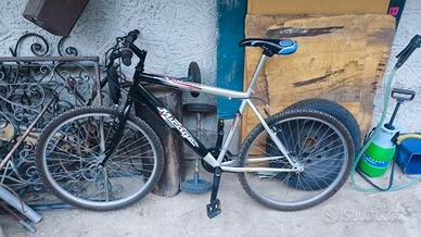 bici 26