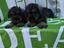 Immagine 4