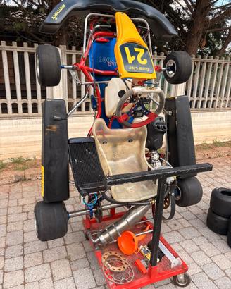 Kart 100 PCR jaguar 2000