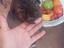 Immagine 1