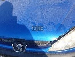 Peugeot 206 hdi ricambi