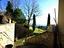 Immagine 27