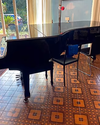 PIANOFORTE A CODA PETROF