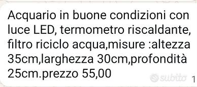 acquario 
