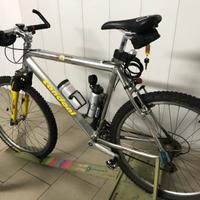 Mountain bike