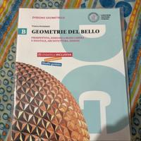 Geometrie del bello volume B, liceo scientifico