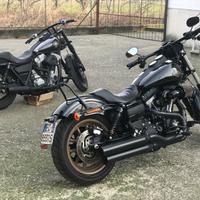 Harley FXR