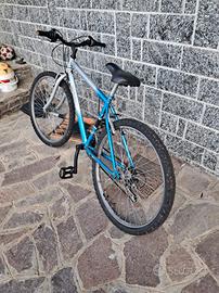 Bicicletta MTB Gravel 