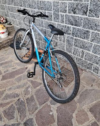Bicicletta MTB Gravel 