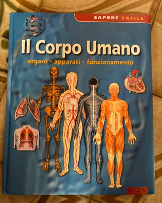il corpo umano: organi, apparati, funzionamento