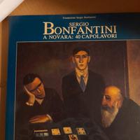 Bonfantini Sergio, 40 anni di capolavori a Novara