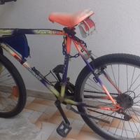 Bicicletta MTB