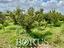 Immagine 14