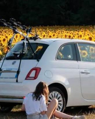portabici