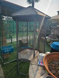 voliere per pappagalli