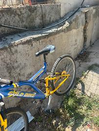 Bicicletta