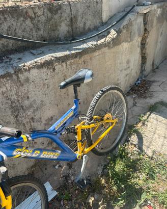 Bicicletta