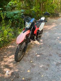 Beta 50 rr 