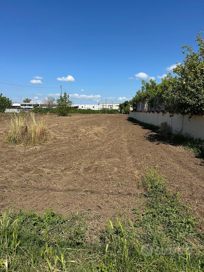 Vendessi terreno Vitulazio - Vista 4